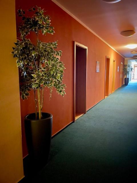 Hotel U Milina Экстерьер фото